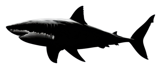 Shark encounter ocean habitat digital underwater dynamic perspective