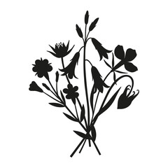 Wildflowers silhouette bouquet. Hand-drawn bellflower, aquilegia, exotic meadow flower inflorescences, herbs, and wild plants. Botanical element for design projects. Minimal style, vector illustration