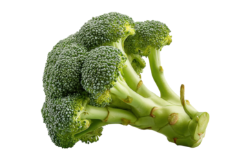 PNG Fresh green broccoli florets on black background