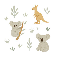 Australian animals png watercolor illustration