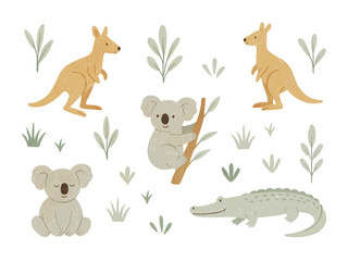Australian animals png watercolor illustration