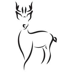 Animal line icon. deer line icon