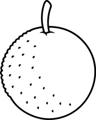 Lychee with Peeled Skin Exotic Fruit Illustration