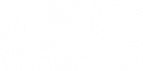 Topo contour map on white background. Abstract background with waves Geographic mountain relief.Abstract lines background. Contour maps