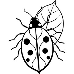 Ladybug on leaf  line art vector illustration