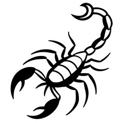 Scorpion with tail raised line art vector illustration