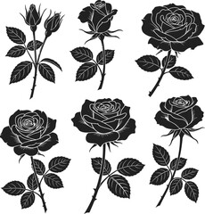 Black and white silhouette illustrations of roses and rose buds with leaves flower