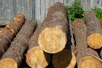 stack of logs