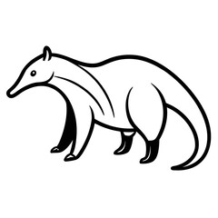 Anteater on white background