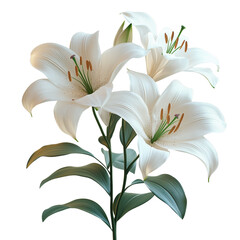 Fototapeta premium High-resolution white lily PNG clipart on transparent background