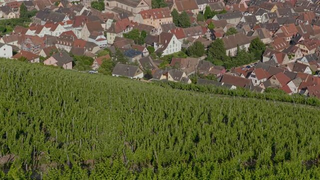Aerial view of Riquewihr Vinyards and Alsacian Village on the Route des Vins in Alsace