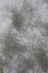 Cracked Concrete Surface