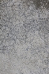 Close-up of a weathered gray concrete floor with cracks and texture