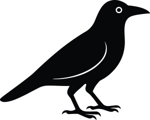 Silhouette crow standing isolated on white background vector illustration