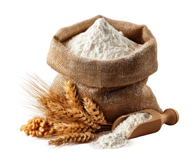 Harvesting flour from wheat farm food natural