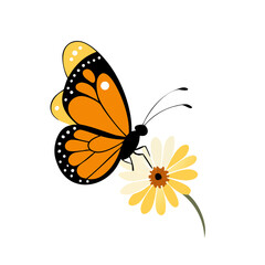Obraz premium Vibrant Orange Butterfly on Yellow Daisy Flower Spring Nature Illustration Graphic Design
