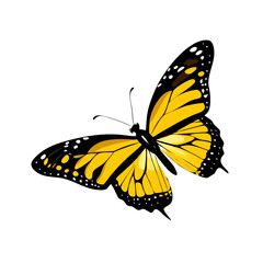 Vibrant Yellow Butterfly Vector Illustration Isolated White Background Spring Summer Nature Design Graphic