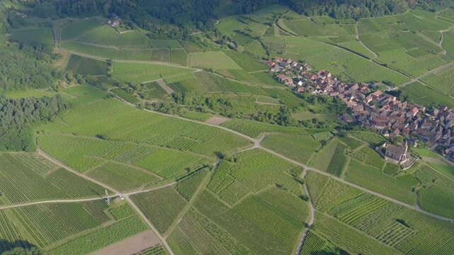 Hunawihr, France - Aerial view of Alsacian village and vineyards and sunrise