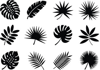 Collection of twelve black silhouette tropical plant leaves on a white background