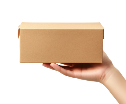 Delivering a brown box package home product