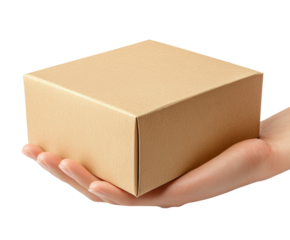 Delivery action package handling home environment product