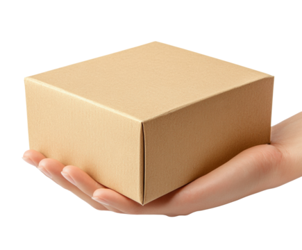 Delivery action package handling home environment product