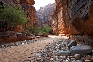 A rocky path in the middle of a canyon