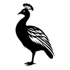 Elegant black silhouette of a peacock bird standing against a white background
