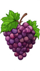 Fototapeta premium bunch of purple grapes with green leaves isolated on white background, symbolizing freshness, sweetness, and natural fruit