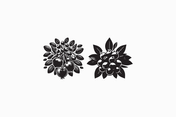 Serviceberry fruit vector silhouettes black and white image made by adobe illustrator. eps