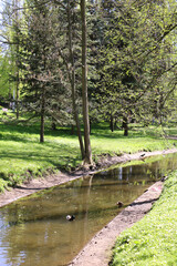 river in the park