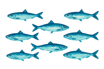 Colorful fish swimming in a row against a plain background, showcasing aquatic life and nature