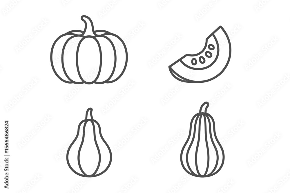 Poster variety of gourds and melons displayed in a simple line-art style capturing their unique shapes and 