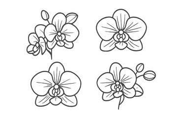 Beautiful hand-drawn orchids in various designs highlighting natural beauty and elegance