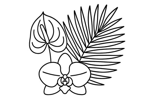 Intricate botanical illustration featuring an orchid, anthurium, and palm leaf arranged artistically on white background