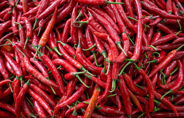 A vibrant, high-resolution close-up of a large pile of fresh red chili peppers with green stems. 