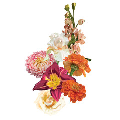 Fototapeta premium Garden flowers bouquet vector design. 