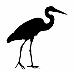 Obraz premium Silhouette of heron bird standing isolated on white background, elegant wading bird vector illustration 