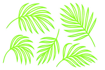 Five vibrant green tropical leaves are depicted on a transparent background, evoking a sense of summer and warmth