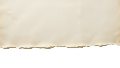 Obraz premium Realistic Ripped Off-White Paper with Soft Shadow – PNG Cut Out.