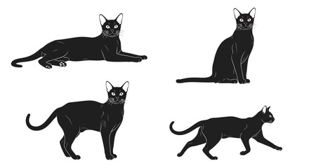 Black Bombay cats in different poses on a white background  
