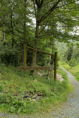 Vidden trail in Bergen Norway rocky grass landscape, 노르웨이 베르겐 비든 트레일...