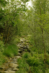 Vidden trail in Bergen Norway rocky grass landscape, 노르웨이 베르겐 비든 트레일...