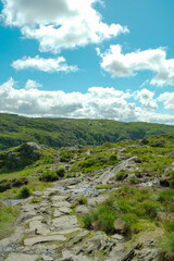 Fototapeta premium ChatGPT의 말: Vidden trail in Bergen Norway rocky grass landscape, 노르웨이 베르겐 비든 트레일 바위와 초원 풍경