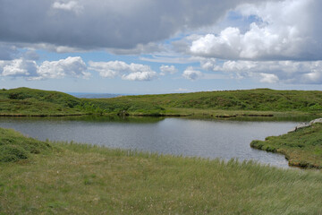 ChatGPT의 말:
Vidden trail in Bergen Norway rocky grass landscape, 노르웨이 베르겐 비든 트레일 바위와 초원 풍경