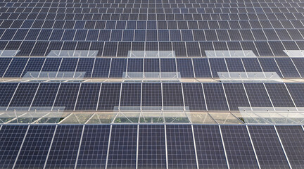 Greenhouse for growing vegetables with mounted photovoltaic solar panels on the roof, combining...