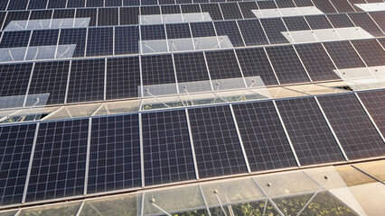 Greenhouse for growing vegetables with mounted photovoltaic solar panels on the roof, combining...