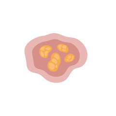 Human intestinal coccidia parasites vector illustration 