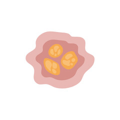 Human intestinal coccidia parasites vector illustration 