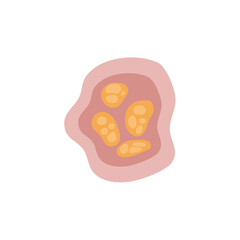 Human intestinal coccidia parasites vector illustration 